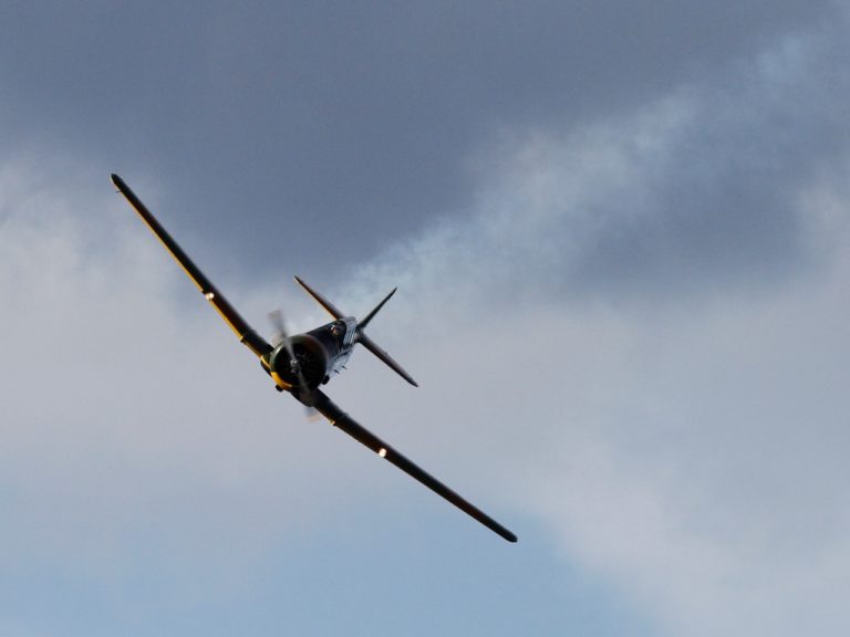 Hobby Fly
